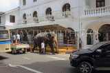 SRI LANKA, Kandy, town centre, elephant and mahout walking along road, SLK3712JPL