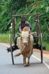 SRI LANKA, Kandy area, ox drawn cart, rural scene, SLK2571JPL