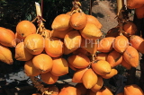 SRI LANKA, Kandy area, roadside stall selling King Coconut (Thambili), SLK2560JPL