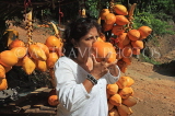 SRI LANKA, Kandy area, roadside stall selling King Coconut (Thambili), drinking fruit, SLK2553JPL