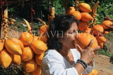 SRI LANKA, Kandy area, roadside stall selling King Coconut (Thambili), drinking fruit, SLK2556JPL