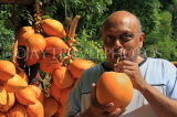 SRI LANKA, Kandy area, roadside stall selling King Coconut (Thambili), drinking fruit with straw, SLK2568JPL
