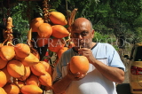 SRI LANKA, Kandy area, roadside stall selling King Coconut (Thambili), drinking fruit with straw, SLK2570JPL