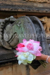 SRI LANKA, Kelaniya Temple (near Colombo), flower offerings (lotus flowers), SLK5187JPL