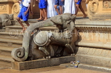 SRI LANKA, Kelaniya Temple (near Colombo), image house elephant-lion sculptures, SLK5152JPL