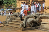 SRI LANKA, Kelaniya Temple (near Colombo), image house elephant-lion sculptures, SLK5153JPL