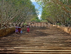 SRI LANKA, Mihintale temple site, granite stairway and Frangipani trees, SLK1823JPL