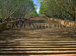 SRI LANKA, Mihintale temple site, granite stairway and Frangipani trees, SLK295JPL