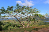 SRI LANKA, Mihintale temple site, view of countryside, and tree, SLK5449JPL