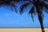 SRI LANKA, Negombo, beach, and coconut tree, SLK6014JPL