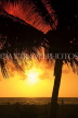 SRI LANKA, Negombo, beach, and coconut tree, sunset, SLK3591JPL