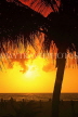 SRI LANKA, Negombo, beach, and coconut tree, sunset, SLK3592JPL
