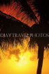 SRI LANKA, Negombo, beach, and coconut tree, sunset, SLK3593JPL