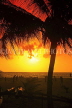 SRI LANKA, Negombo, beach, and coconut tree, sunset, SLK3594JPL