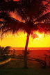 SRI LANKA, Negombo, beach, boat and coconut trees, sunset, SLK3588JPL