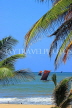 SRI LANKA, Negombo, beach, coconut tree, and fishing boats (catamarans) out at sea, SLK6366JPL