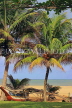 SRI LANKA, Negombo, beach, coconut trees and fishing boat (catamaran), SLK3552JPL