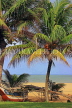 SRI LANKA, Negombo, beach, coconut trees and fishing boat (catamaran), SLK3553JPL