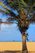 SRI LANKA, Negombo, beach and coconut tree, SLK6010JPL