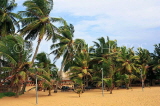 SRI LANKA, Negombo, beach and coconut trees, SLK2433JPL