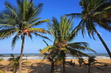 SRI LANKA, Negombo, beach and coconut trees, SLK2449JPL