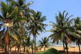 SRI LANKA, Negombo, beach and coconut trees, SLK2527JPL