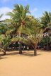 SRI LANKA, Negombo, beach and coconut trees, SLK2583JPL