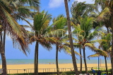 SRI LANKA, Negombo, beach and coconut trees, SLK3518JPL
