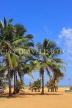 SRI LANKA, Negombo, beach and coconut trees, SLK5923JPL