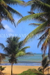 SRI LANKA, Negombo, beach and coconut trees, SLK6114JPL