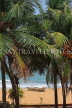 SRI LANKA, Negombo, beach vew through coconut trees, SLK2526JPL