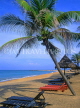 SRI LANKA, Negombo, beach with coconut trees and sunbeds, SLK267JPL