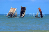 SRI LANKA, Negombo, catamarans with sail (traditional fishing boat) at sea, SLK6316JPL