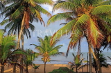 SRI LANKA, Negombo, coast and coconut trees, SLK5924JPL