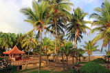 SRI LANKA, Negombo, coast and coconut trees, SLK5925JPL