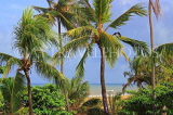 SRI LANKA, Negombo, coast and coconut tress, SLK3544JPL