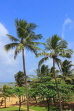 SRI LANKA, Negombo, coastal view, and coconut trees, SLK3577JPL