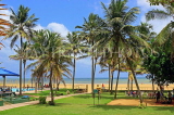 SRI LANKA, Negombo, coastal view, beach and coconut trees, SLK3571JPL