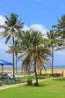 SRI LANKA, Negombo, coastal view, beach and coconut trees, SLK3572JPL