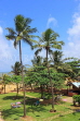 SRI LANKA, Negombo, coastal view, hotel grounds and coconut trees, SLK3575JPL