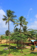 SRI LANKA, Negombo, coastal view, hotel grounds and coconut trees, SLK3576JPL