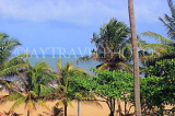 SRI LANKA, Negombo, coastal view and coconut trees, SLK3548JPL