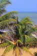 SRI LANKA, Negombo, coastal view and coconut trees, SLK3549JPL
