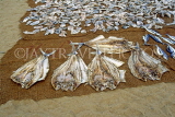 SRI LANKA, Negombo, fish dring out (to prepare saltfish), SLK1706JPL