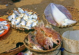 SRI LANKA, Negombo, fish market scene, fish and squid  arranged in baskets, SLK1589JPL