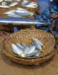 SRI LANKA, Negombo, fish market scene, fish arranged in basket, SLK1590JPL
