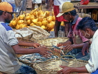 SRI LANKA, Negombo, fish market scene, fishmongers sorting catch into baskets, SLK1565JPL
