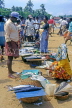 SRI LANKA, Negombo, fish market scene, fishwives selling fish, SLK2090JPL