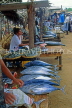 SRI LANKA, Negombo, fish market scene, stalls with Tuna, SLK1738JPL