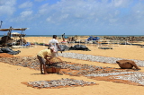 SRI LANKA, Negombo, fishermen drying the fish (to prepare salt fish), SLK6303JPL